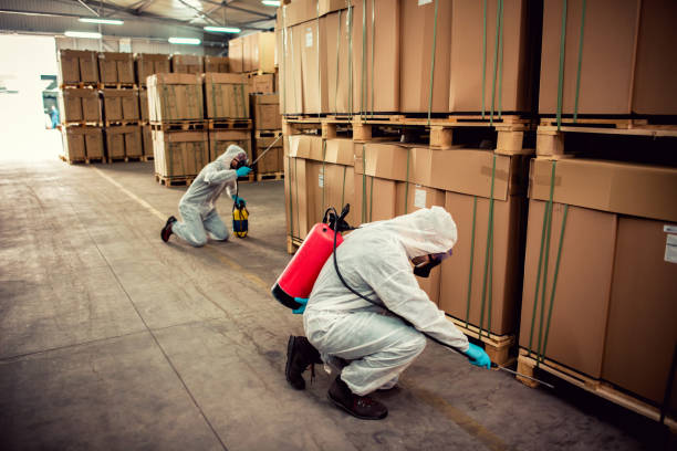 Wasp Removal Services in Normandy, MO