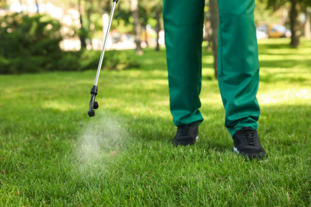 Best Best Pest Control Companies  in Normandy, MO