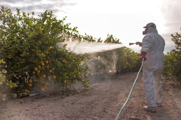Best Pest Removal Services  in Normandy, MO